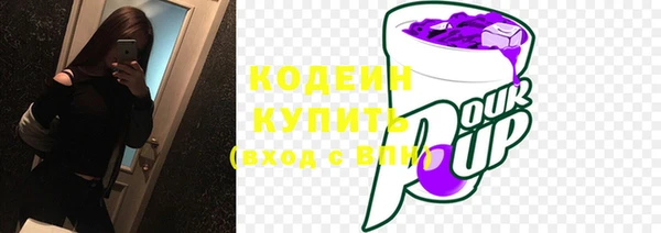 крисы Куйбышев
