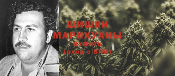 крисы Куйбышев